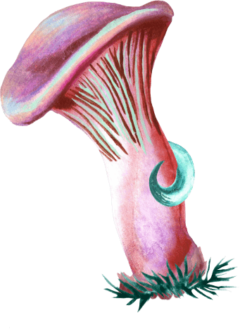 Mushrooms