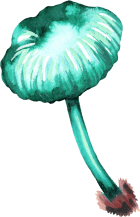 Mushrooms