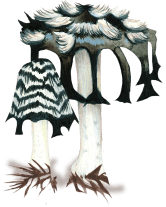 Mushrooms