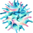 Bacterium