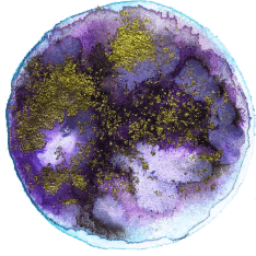 Planet